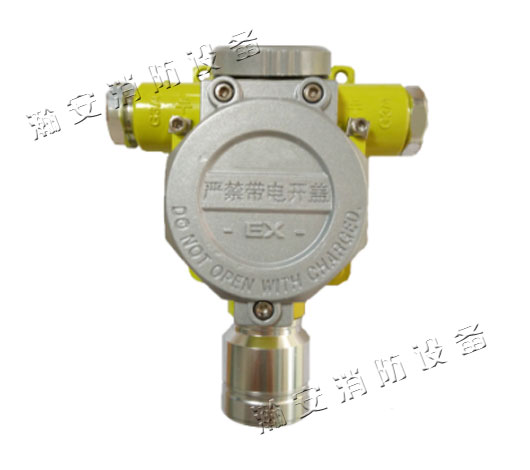 RBT-6000-ZLGM型气体探测器